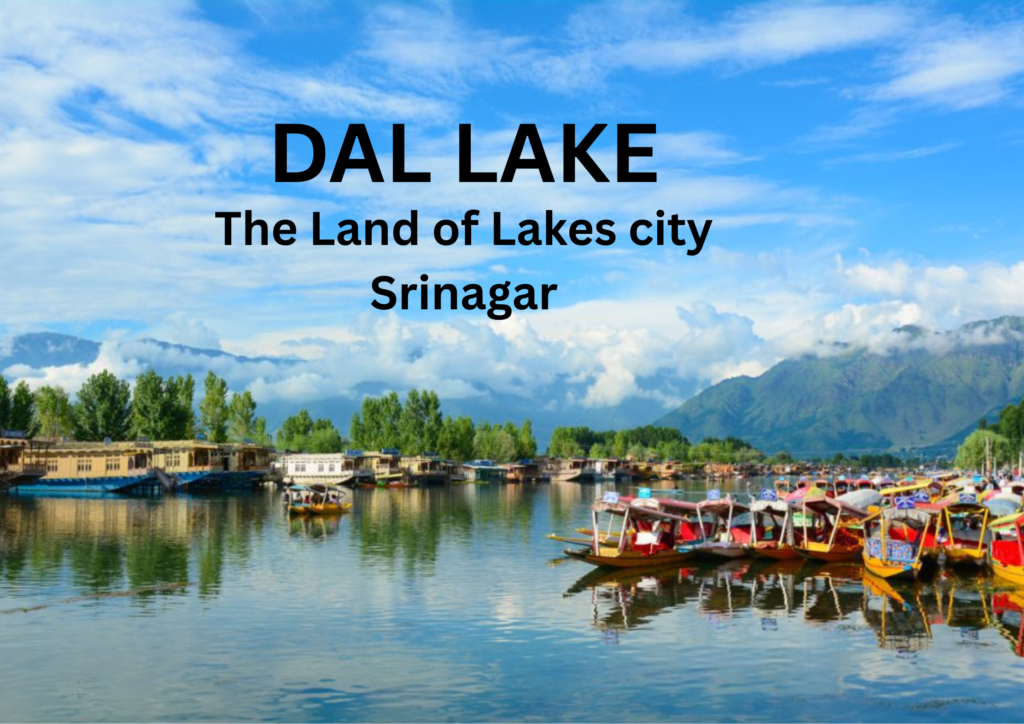 Dal Lake the city of lakes Srinagar