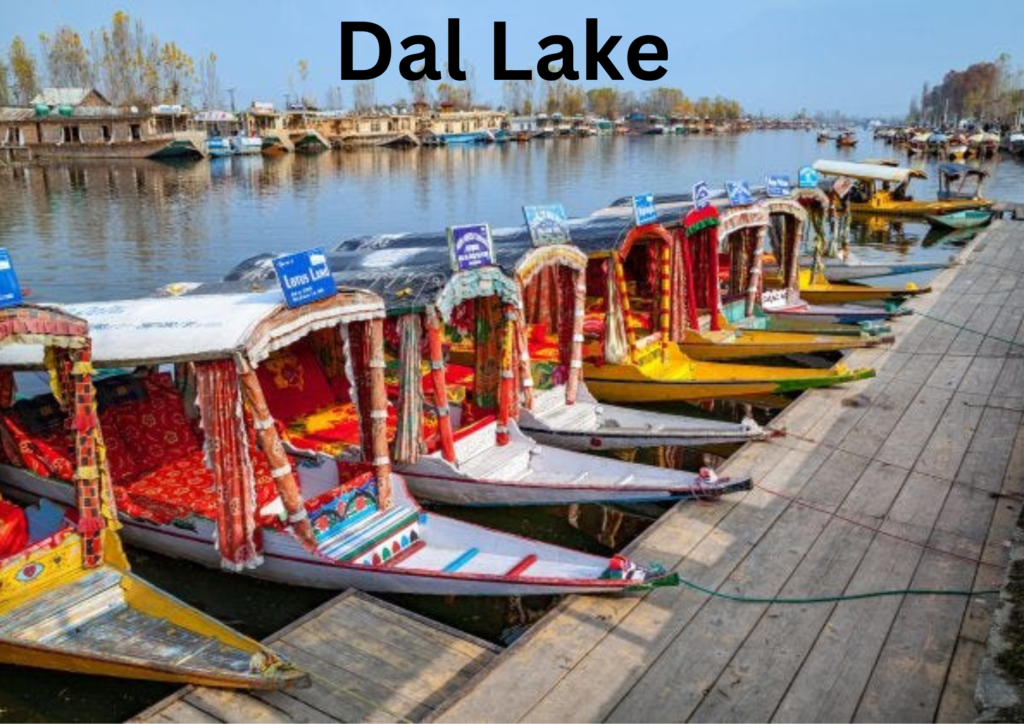 Dal lake floating boats