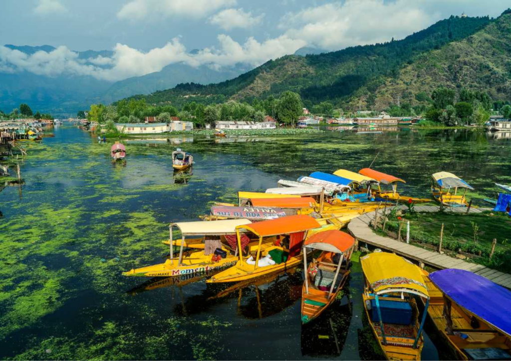 Dal Lake Srinagar
